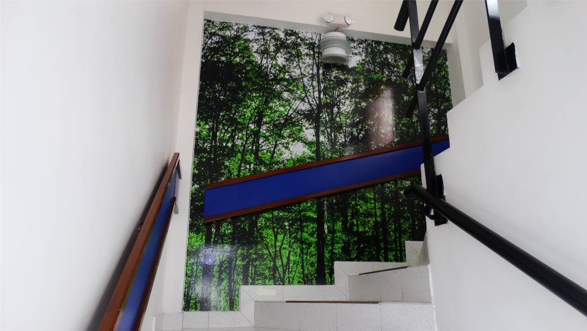 Vinilo decorativo personalizado sobre pared junto a escaleras con arboles altos verdes de fondo